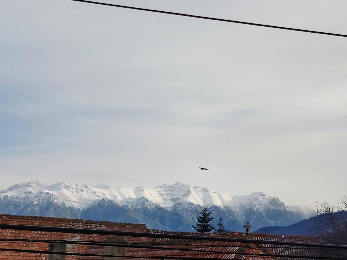 فندق Casa Piatra Craiului Zărneşti المظهر الخارجي الصورة