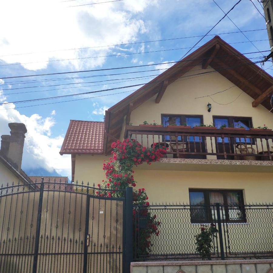 فندق Casa Piatra Craiului Zărneşti المظهر الخارجي الصورة